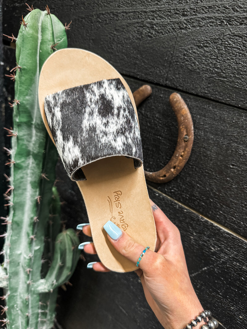 Salt & Pepper Slides