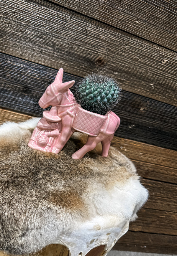 Pink Donkey Planter