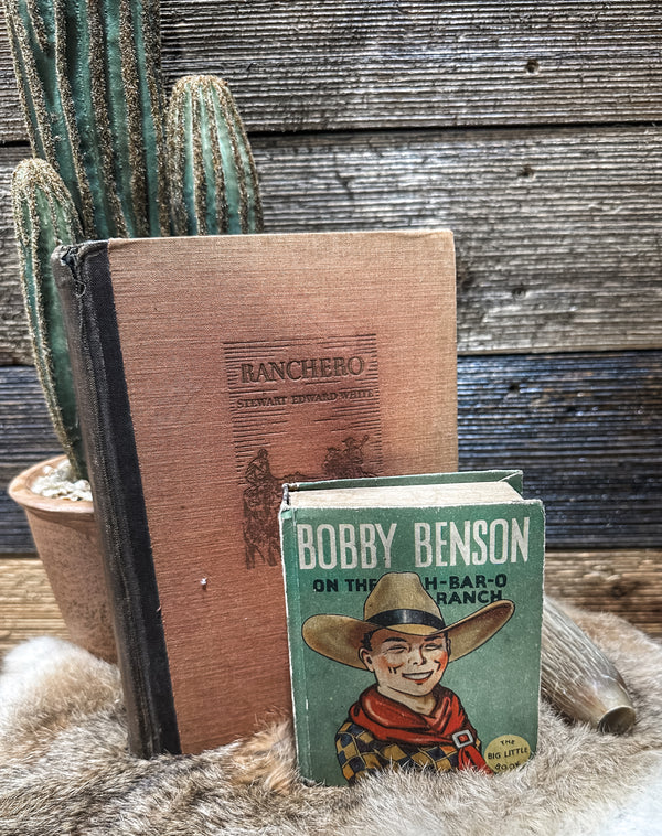 Bobby Benson Big Little Book