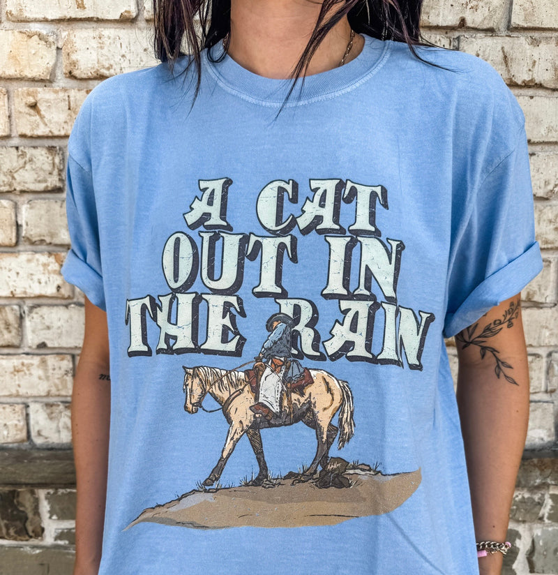 A Cat Out In The Rain
