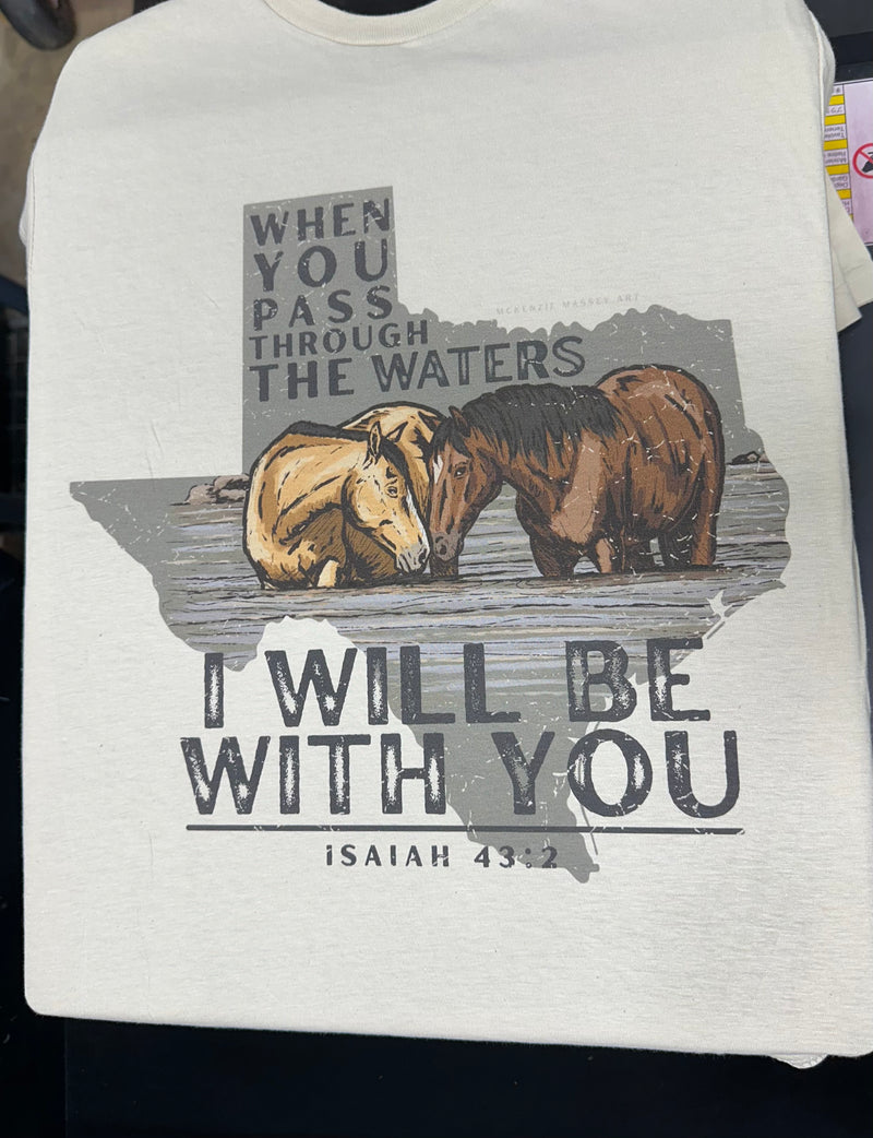 Isaiah 43:2