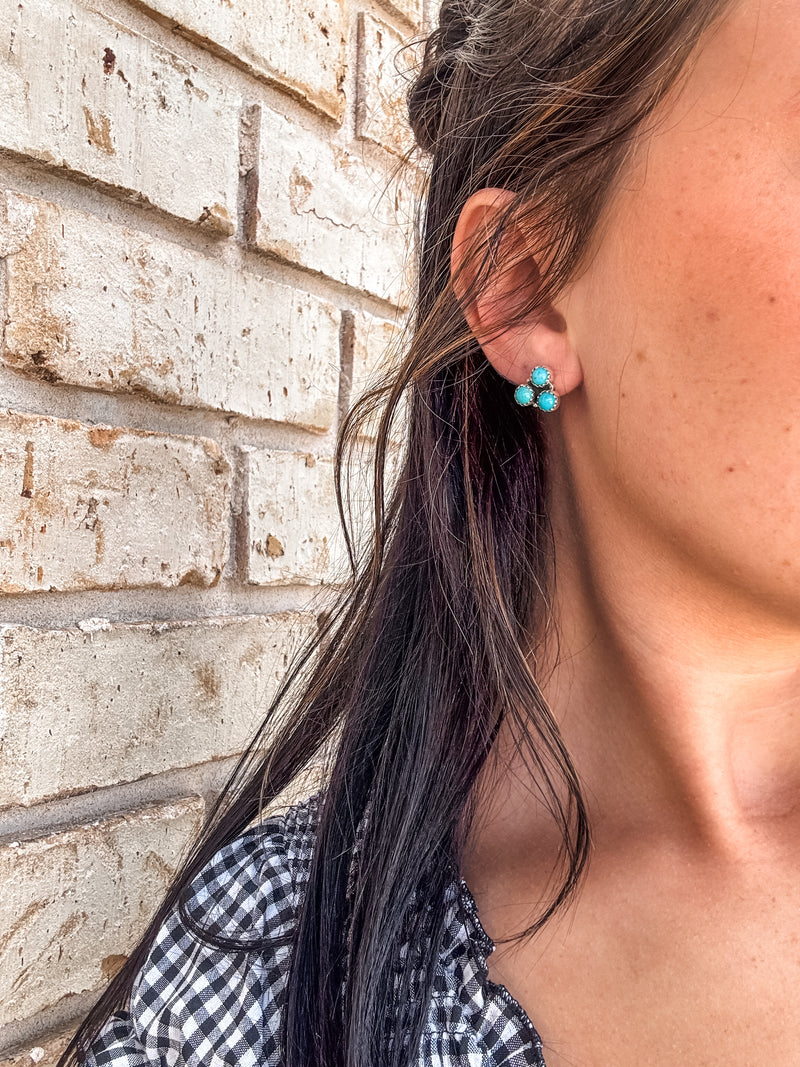 The Case Earrings
