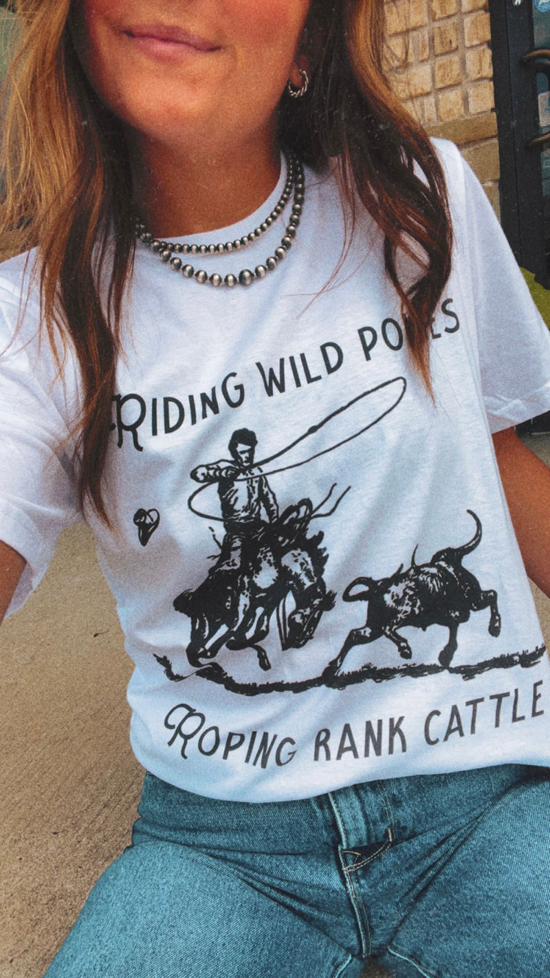 Riding Wild Ponies